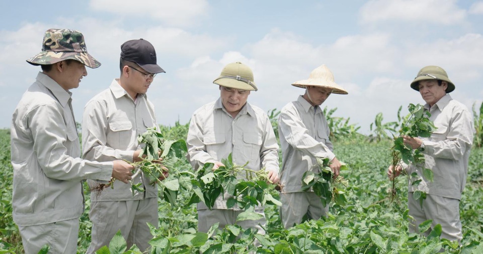 Đậu nành dược liệu - Khái niệm mới về dược liệu sạch người tiêu dùng cần biết - 5 Đậu nành dược liệu - Khái niệm mới về dược liệu sạch người tiêu dùng cần biết - 5
