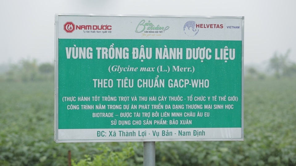 Đậu nành dược liệu - Khái niệm mới về dược liệu sạch người tiêu dùng cần biết - 7
Biotrade EU - Dự án Thương mại Sinh học của Liên minh châu Âu lựa chọn Nam Dược để tài trợ xây dựng vùng trồng đậu nành dược liệu