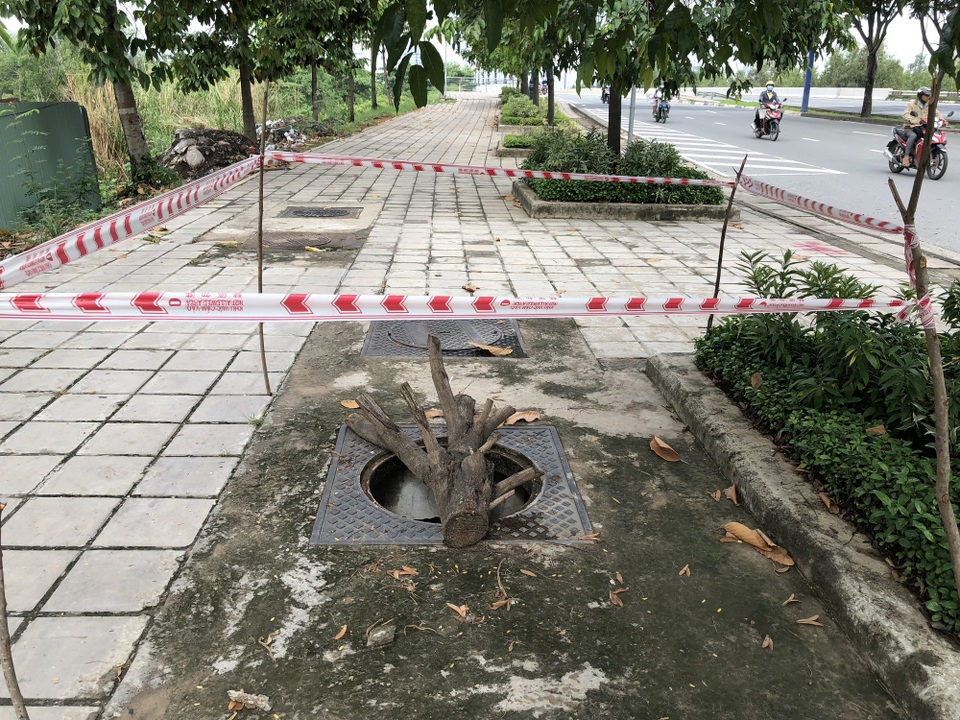 Hàng loạt nắp cống trên đại lộ đẹp nhất Sài Gòn bỗng dưng... mất tích - 7 Hàng loạt nắp cống trên đại lộ đẹp nhất Sài Gòn bỗng dưng... mất tích - 7