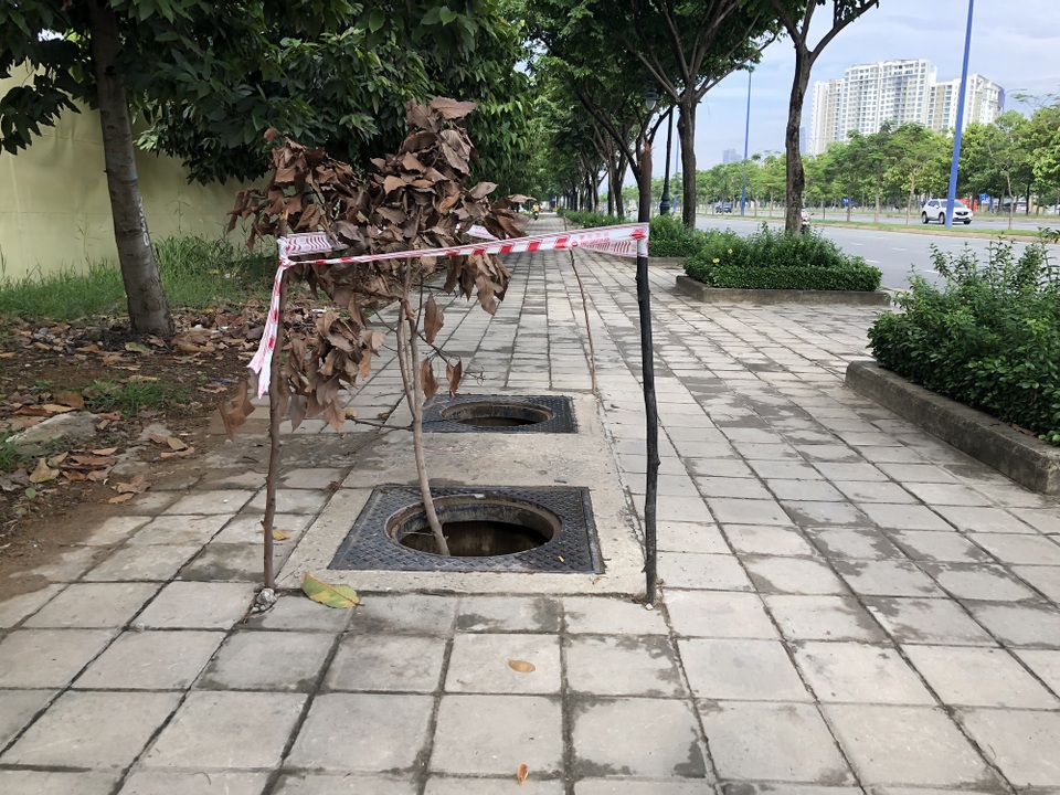 Hàng loạt nắp cống trên đại lộ đẹp nhất Sài Gòn bỗng dưng... mất tích - 1 Hàng loạt nắp cống trên đại lộ đẹp nhất Sài Gòn bỗng dưng... mất tích - 1
