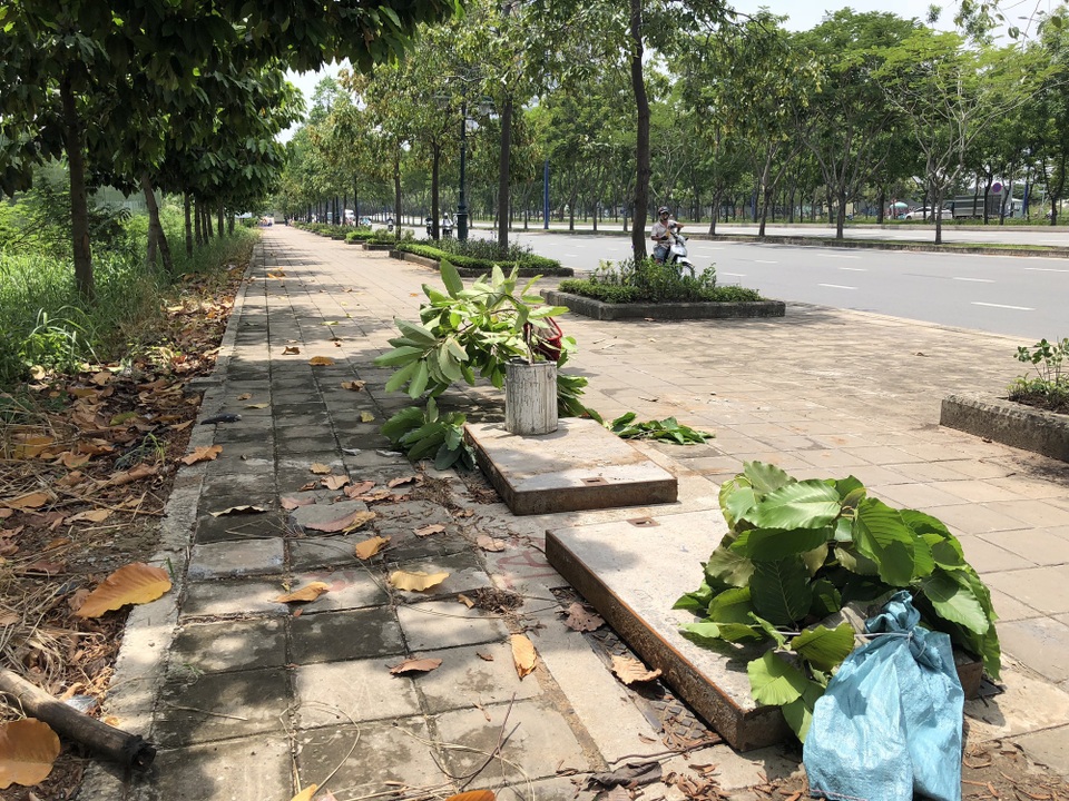 Hàng loạt nắp cống trên đại lộ đẹp nhất Sài Gòn bỗng dưng... mất tích - 11 Nhiều cống được che đậy bằng các khối bê tông