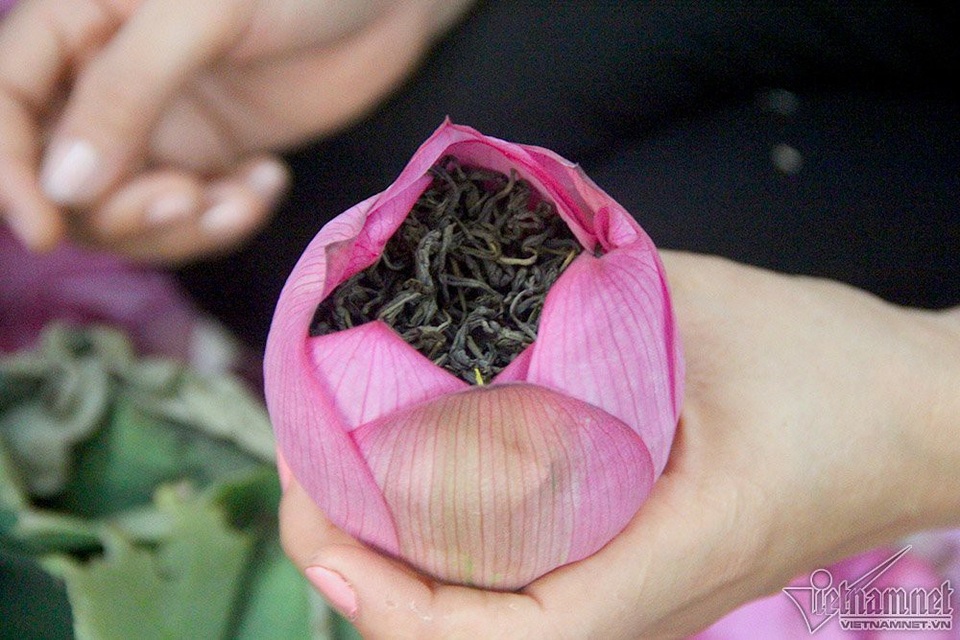"Thiên hạ đệ nhất trà" 10 triệu đồng/kg, uống ngụm nào chất ngụm đấy - 12 "Thiên hạ đệ nhất trà" 10 triệu đồng/kg, uống ngụm nào chất ngụm đấy - 12