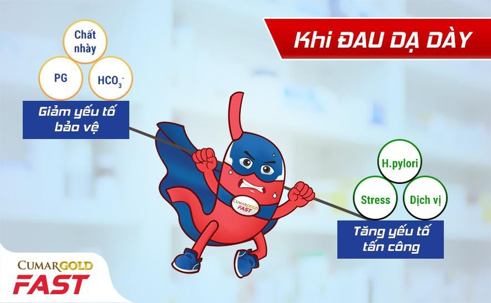 Sự thật ít ai biết để tránh tái phát viêm loét dạ dày - 2 Viêm loét dạ dày là hậu quả của sự mất cân bằng giữa các yếu tố tấn công - bảo vệ
