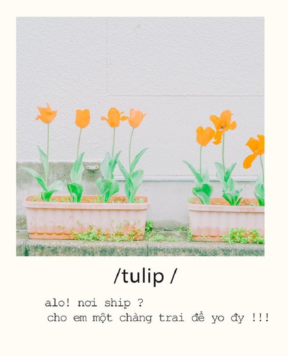 Giới trẻ rộ trào lưu “thả thính” bằng hình ảnh cực đáng yêu - 11 Giới trẻ rộ trào lưu “thả thính” bằng hình ảnh cực đáng yêu - 11