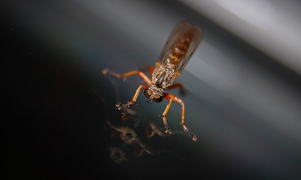 10 kiểu ngứa da càng gãi càng nguy hiểm - 2 10 kiểu ngứa da càng gãi càng nguy hiểm - 2