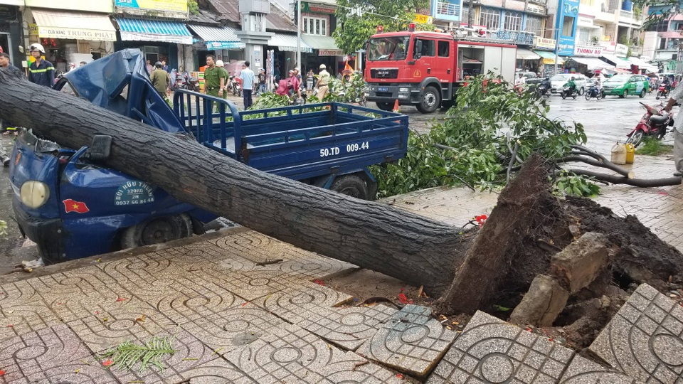 Giông lốc cuốn bay mái nhà, quật ngã loạt cây xanh khủng trên phố Sài Gòn - 6 Nhiều ô tô bị cây ngã đè hư hỏng