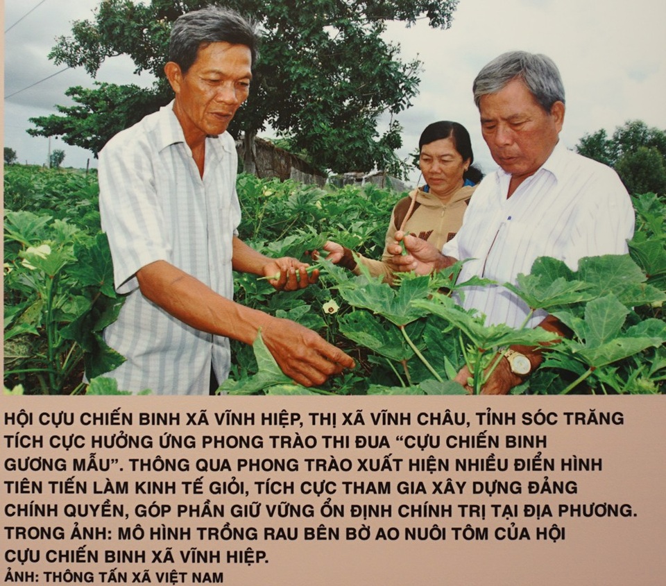 Khai mạc triển lãm “Chủ tịch Hồ Chí Minh với phong trào Thi đua yêu nước” - 12 Khai mạc triển lãm “Chủ tịch Hồ Chí Minh với phong trào Thi đua yêu nước” - 12