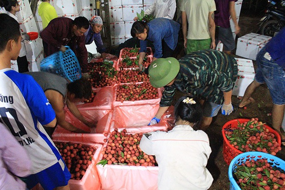 Mọi người thành thạo nghề, nhanh tay hoàn thành công việc đóng thùng vải cho kịp chuyến hàng.
