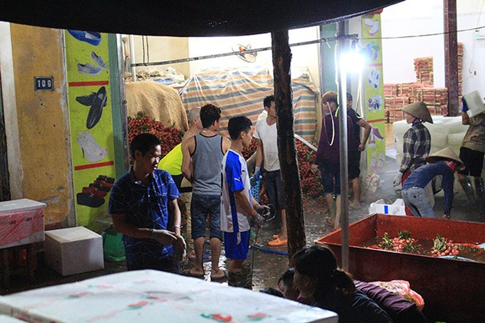 Một đội cửu vạn thường có từ 10 – 20 người, đến mùa vải, họ tập trung nhau lại và đến các tụ điểm cân vải lớn để hoạt động.