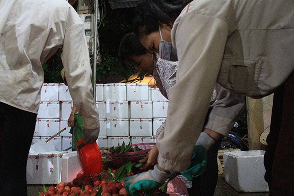 Công việc của đội cửu vạn thường là: nhặt vải (loại bỏ quả vải kém chất lượng), bốc đá, đóng thùng và vác vải.