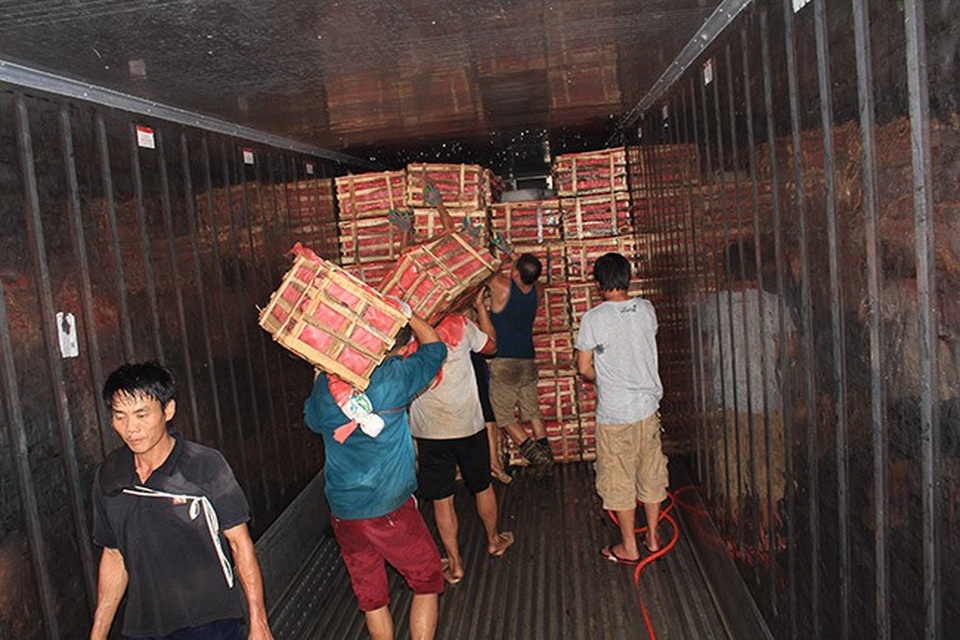Riêng đội bốc đá và vác vải chỉ có các anh các chú khỏe mạnh, đa phần là công việc bốc vác rất nặng.