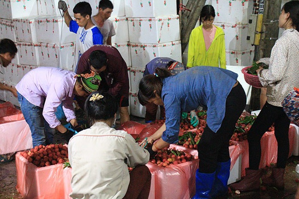 Trong đội đóng thùng vải, 2 em nữ sinh cấp 2 tranh thủ nghỉ hè đi làm phụ giúp gia đình thêm thu nhập.