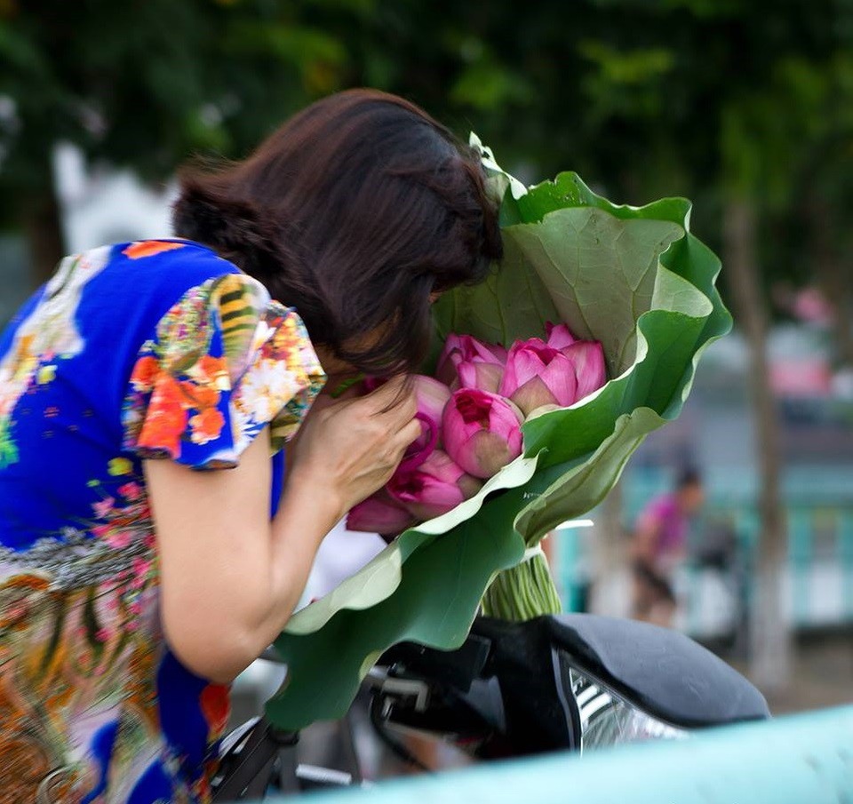 Mùa sen Hà thành - gánh hàng rong kiếm tiền triệu mỗi ngày nhờ thú chơi tao nhã - 1 Mùa sen Hà thành - gánh hàng rong kiếm tiền triệu mỗi ngày nhờ thú chơi tao nhã - 1