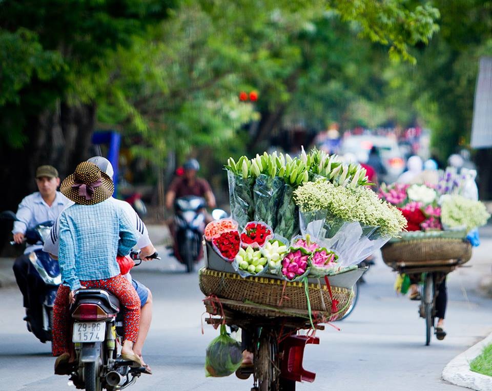 Mùa sen Hà thành - gánh hàng rong kiếm tiền triệu mỗi ngày nhờ thú chơi tao nhã - 3 Mùa sen Hà thành - gánh hàng rong kiếm tiền triệu mỗi ngày nhờ thú chơi tao nhã - 3
