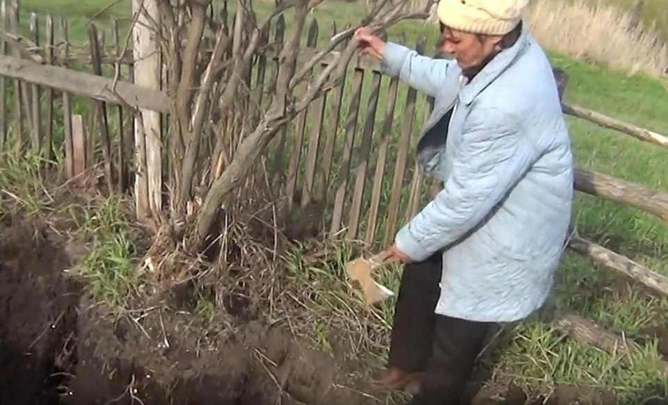 Xới đất trồng khoai tây trong vườn, đào được... chồng cũ của vợ - 3 Tội ác của người vợ đã bị che giấu trong một thời gian dài