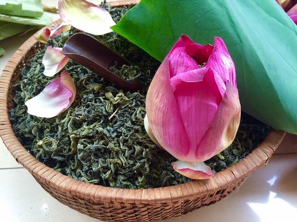 Mùa sen Hà thành - gánh hàng rong kiếm tiền triệu mỗi ngày nhờ thú chơi tao nhã - 10 Mùa sen Hà thành - gánh hàng rong kiếm tiền triệu mỗi ngày nhờ thú chơi tao nhã - 10