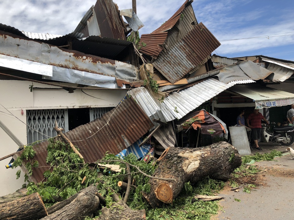 
2 căn nhà bị hư hỏng sau sự cố cây đổ
