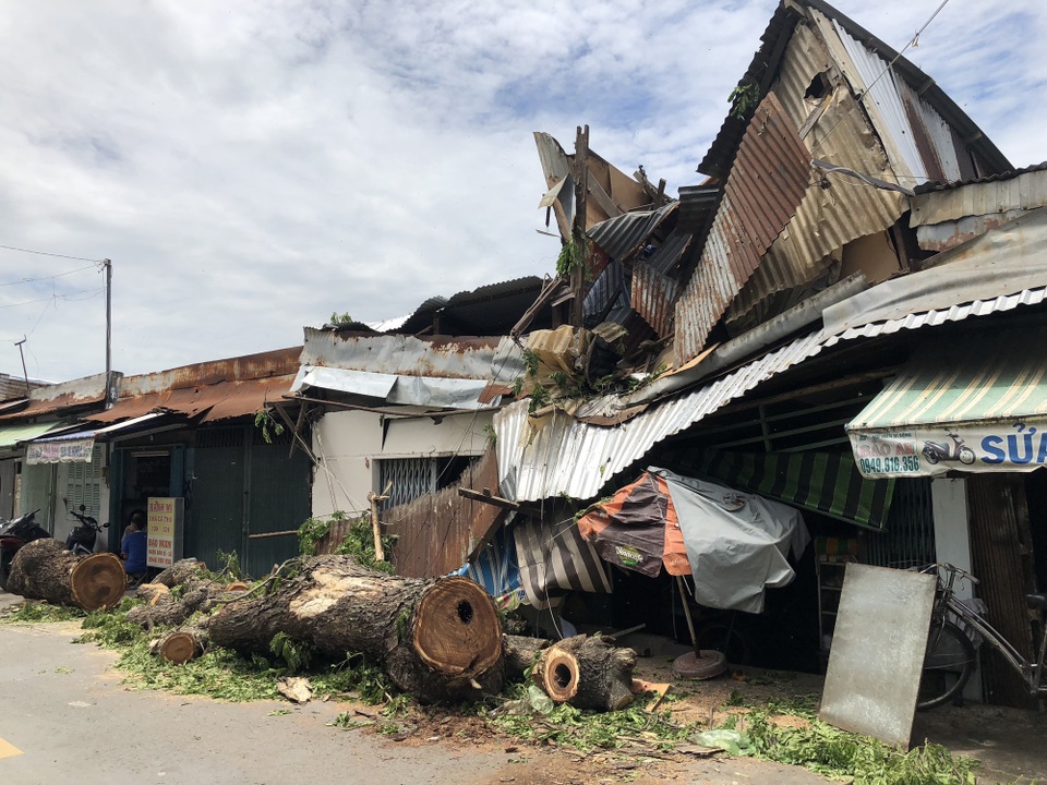 Cổ thụ hơn 100 tuổi đè sập 2 nhà dân, hàng chục người thoát chết - 3