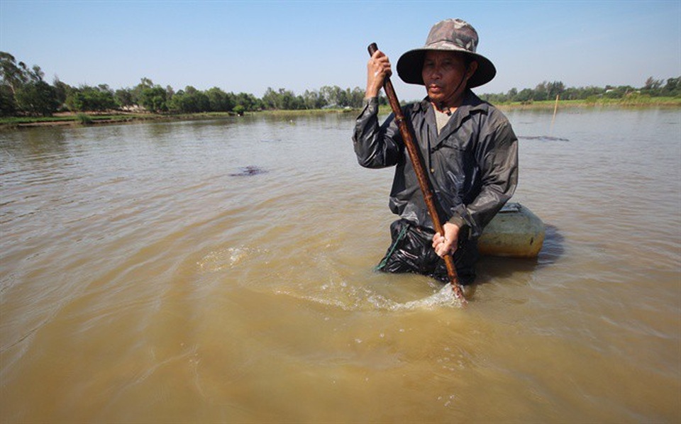 Sáng chế "độc" của thợ săn lươn: Chế sắt chữ V thu về cả triệu đồng - 2 Để bắt được lươn những người thợ cào đi cào lại liên tục