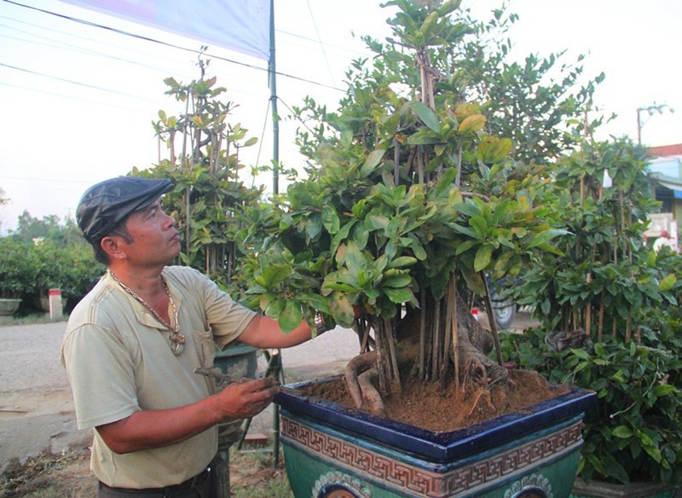 Thời tiết bất thường, người trồng mai thấp thỏm chờ Tết - 7
Anh Duy bên gốc mai gần 100 triệu đem đến trưng bày tại chợ mai Tết.
