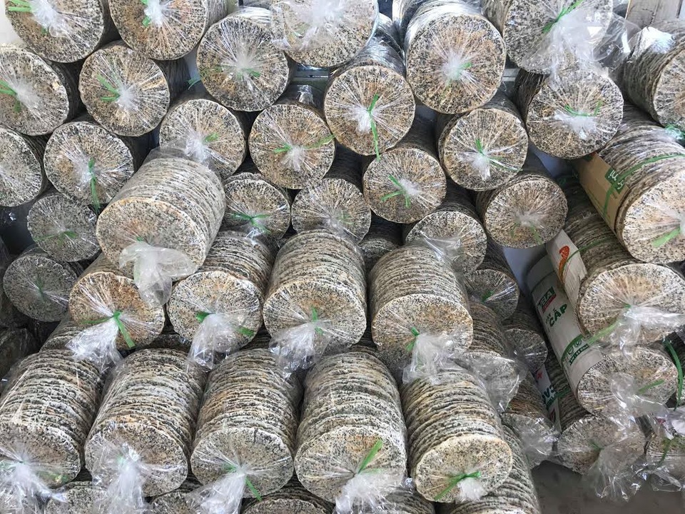 Làng nghề bánh đa ở xứ Nghệ vẫn luôn đỏ lửa giữa trời nắng 40 độ C - 4 Những chiếc bánh sau khi phơi khô sẽ được quạt và đóng gói cẩn thận để chuyển tới người tiêu dùng. Ảnh: Mỹ Hà