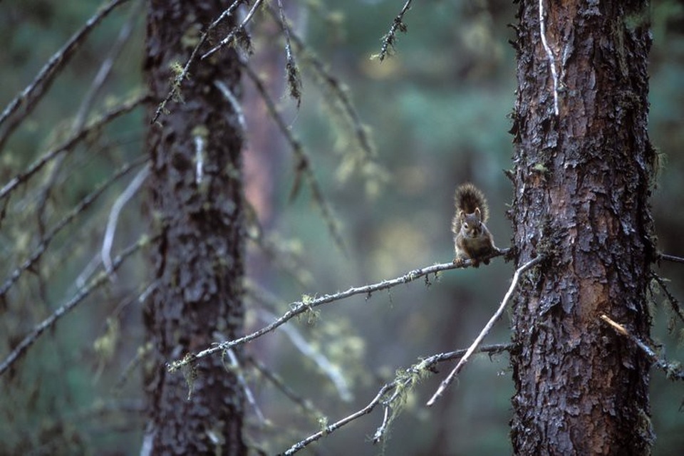 19 di sản Unesco mới của thế giới - 20 19 di sản Unesco mới của thế giới - 20