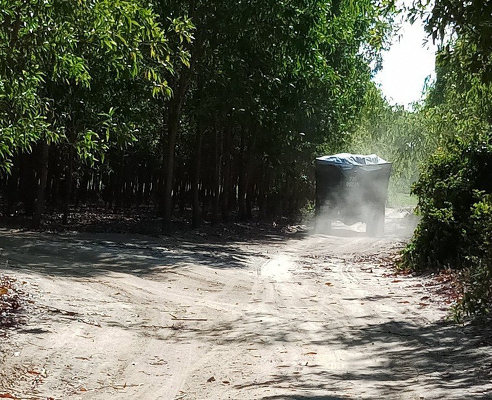 Bình Định: Bất lực nhìn “cát tặc” lộng hành? - 3 Xe chở cát ngang nhiên chạy từ hướng suối Bà Lễ ra