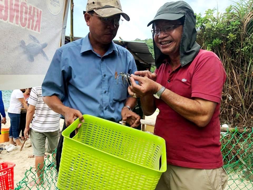 115 chú rùa con "chạy đua" ra biển Cù Lao Chàm - 1 Chuyên gia xem rùa con vừa nở