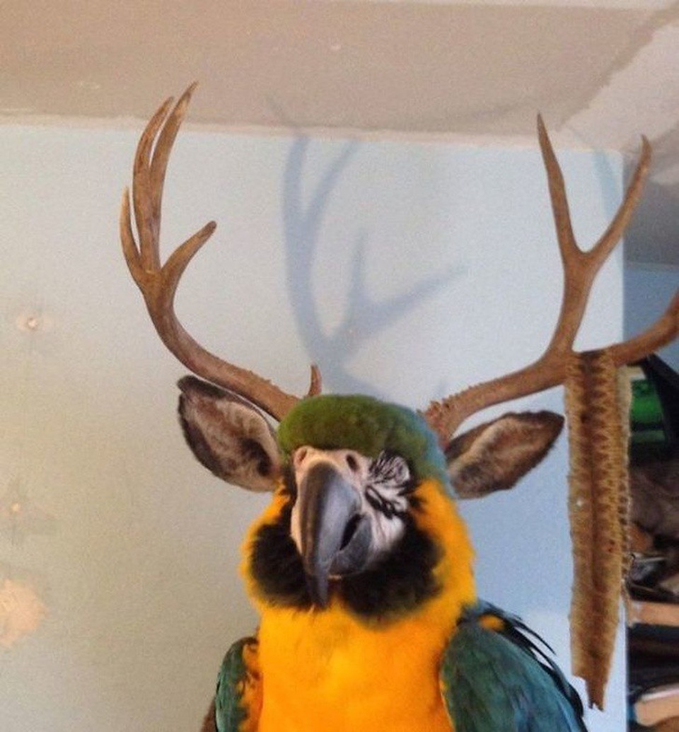 Một loài sinh vật mới được phát hiện