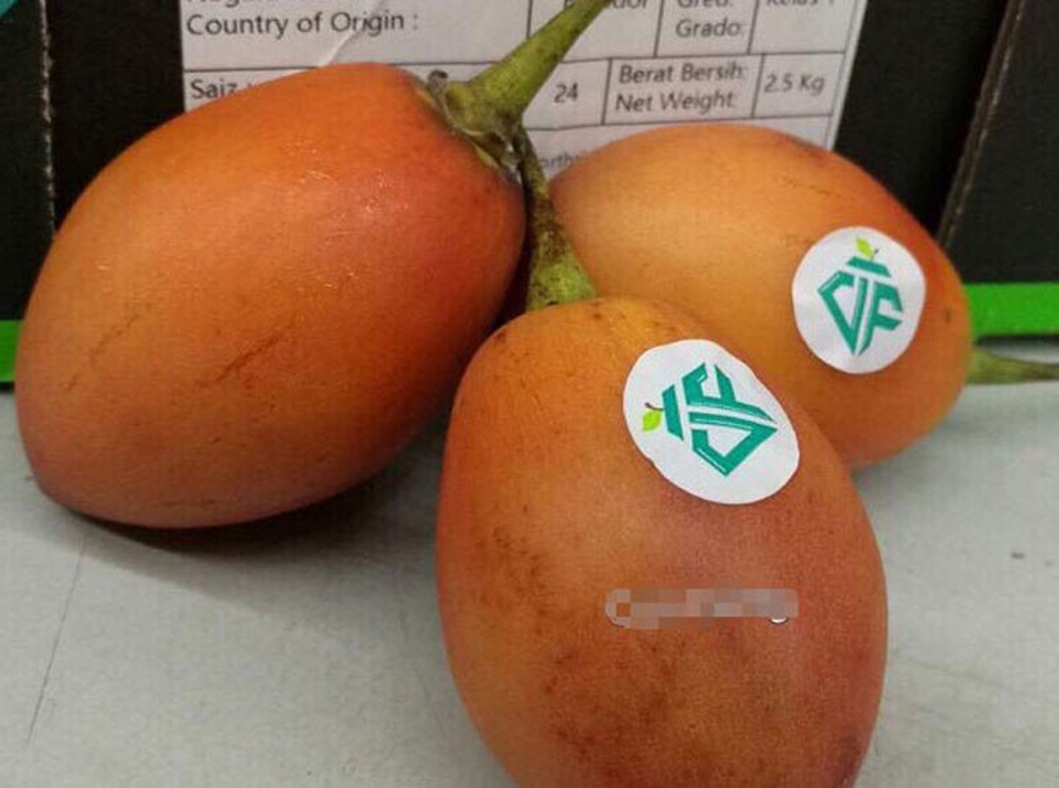 Cà chua lạ 300 ngàn đồng/kg: Chua như chanh leo, thơm mùi dứa - 1