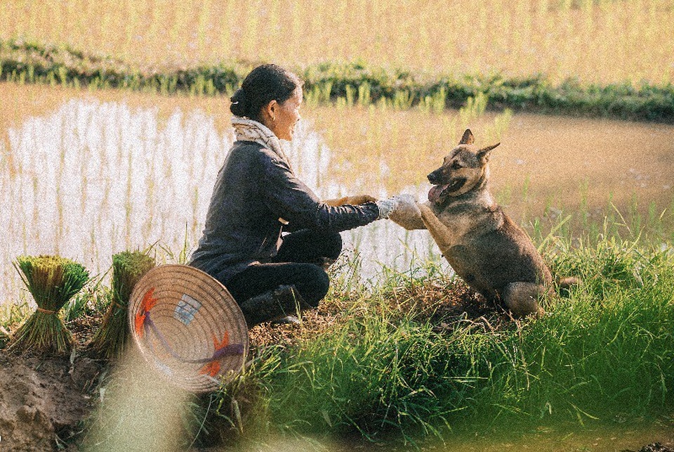 Nụ cười của người mẹ nông dân qua góc máy nhiếp ảnh trẻ - 10 Cái nghề mà mọi người gọi là “bán mặt cho đất, bán lưng cho trời” ấy khiến mẹ có nước da ngăm đen, rám nắng vì phải dãi dầu mưa nắng.