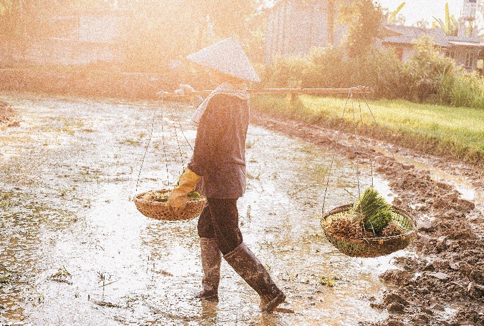 Nụ cười của người mẹ nông dân qua góc máy nhiếp ảnh trẻ - 5 Bộ ảnh được Hùng chụp trong khoảng 1 tiếng sau khi vượt quãng đường hàng chục cây số về thăm mẹ.