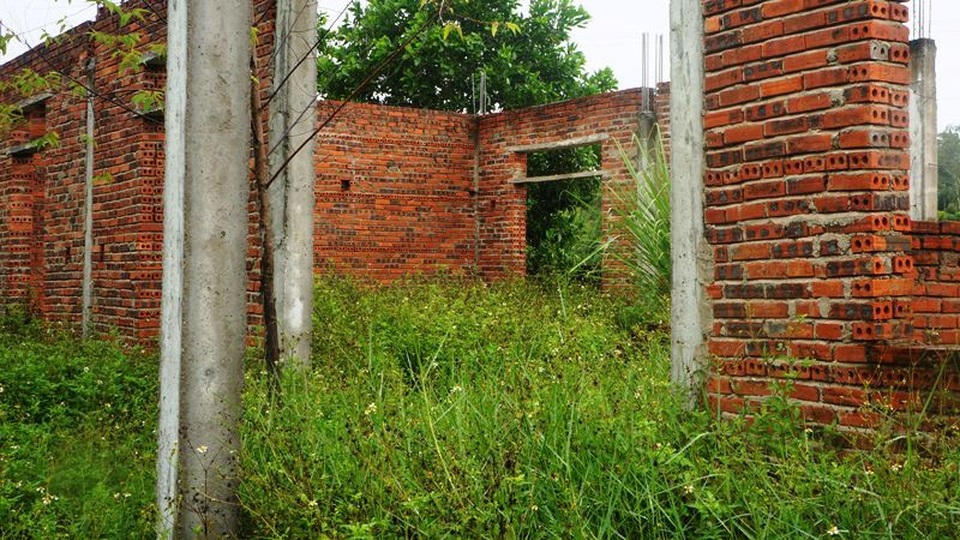 Nghệ An: Trường học tiền tỷ “đắp chiếu”, học sinh nguy cơ thiếu phòng học! - 2 Vì để lâu năm không xây dựng nên cỏ dại mọc um tùm.