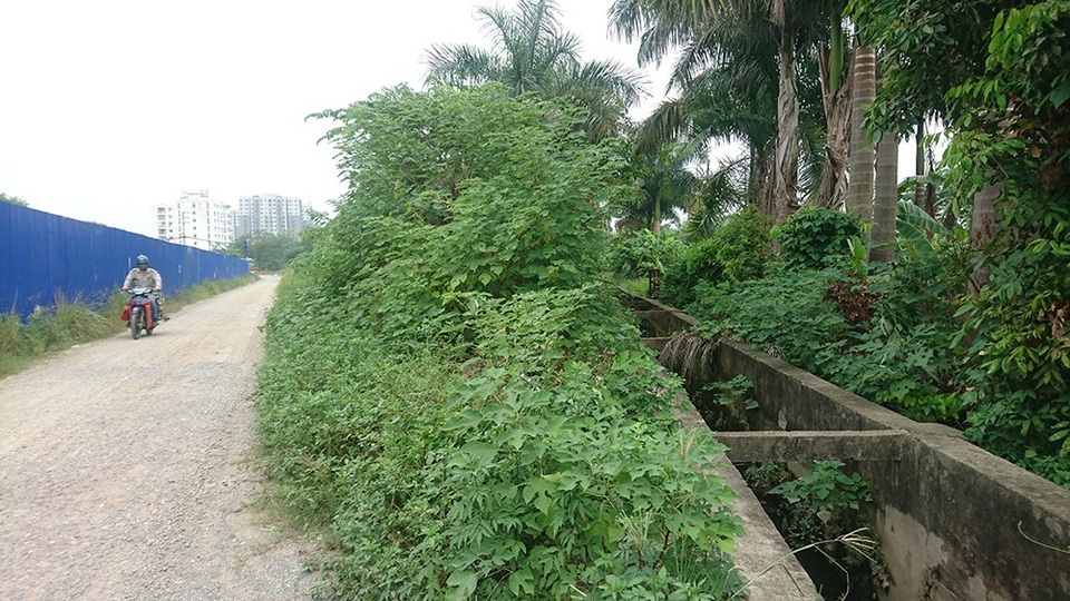 Hà Nội: Ám ảnh sợ hãi ở "cung đường bơm kim tiêm” - 2
Lợi dụng vị trí có nhiều cây cối um tùm, các đối tượng nghiện ma tuý thường xuyên đến đây để tiêm chích.