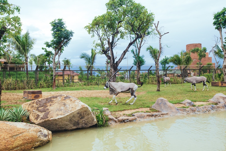 Có gì ở trong River Safari đầu tiên và duy nhất tại Việt Nam? - 1 Có gì ở trong River Safari đầu tiên và duy nhất tại Việt Nam? - 1