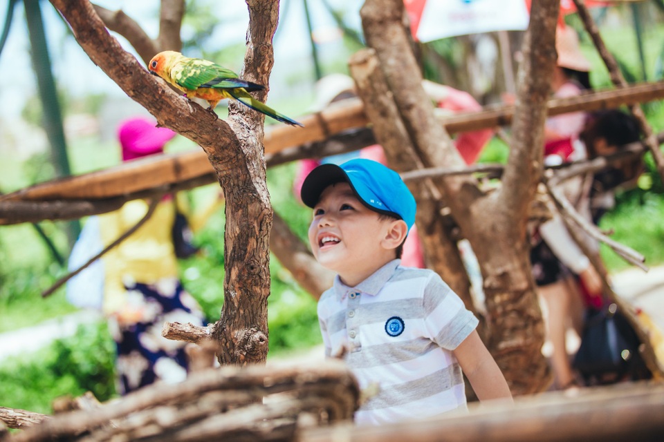 Có gì ở trong River Safari đầu tiên và duy nhất tại Việt Nam? - 13 Có gì ở trong River Safari đầu tiên và duy nhất tại Việt Nam? - 13