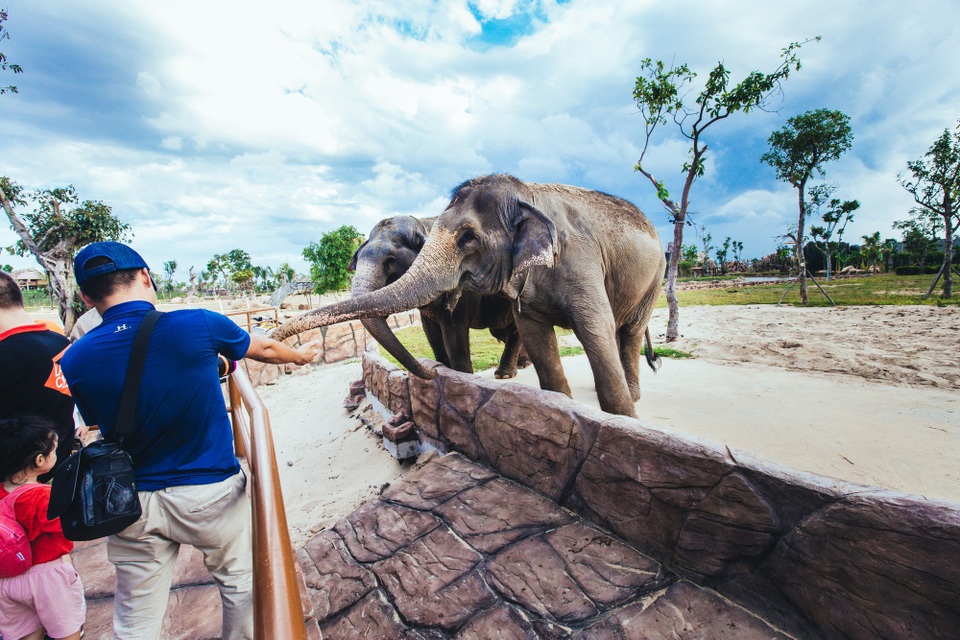Có gì ở trong River Safari đầu tiên và duy nhất tại Việt Nam? - 4 Có gì ở trong River Safari đầu tiên và duy nhất tại Việt Nam? - 4