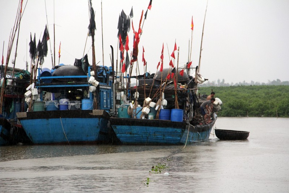 
Thạch Kim, huyện Lộc Hà là xã có số lượng tàu thuyền đánh cá thuộc diện đông nhất của tỉnh Hà Tĩnh, khoảng hơn 300 tàu thuyền. Ngoài ra, vị trí đặc biệt của mình, nơi đây còn thường xuyên tiếp nhận gần 100 tàu thuyền ngoại tỉnh. Khi cơn bão số 3 đang áp sát, tại gò biển Thạch Kim, ngư dân đang hối hả chằng néo những cần câu cơm của mình. Bằng mọi giá không để tàu bị bão đánh hỏng như là mệnh lệnh mà bất cứ chủ tàu thuyền nào cũng phải quyết tâm thực hiện.
