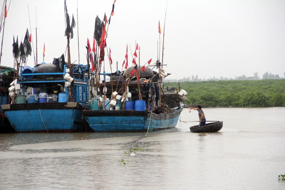 
Cố bảo vệ tàu thuyền trước khi rời tàu trở về nhà tránh bão.
