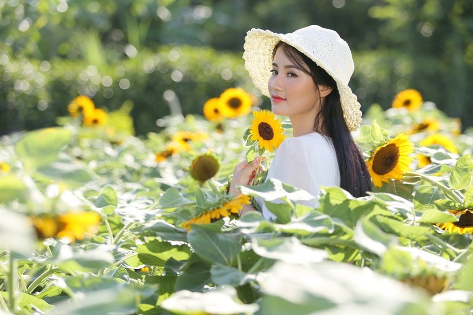 Hoa khôi ĐH Tài nguyên Môi trường: “Sẽ thi hoa hậu khi đủ tự tin” - 7 Hoa khôi ĐH Tài nguyên Môi trường: “Sẽ thi hoa hậu khi đủ tự tin” - 7