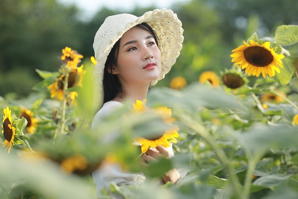 Hoa khôi ĐH Tài nguyên Môi trường: “Sẽ thi hoa hậu khi đủ tự tin” - 4 Hoa khôi ĐH Tài nguyên Môi trường: “Sẽ thi hoa hậu khi đủ tự tin” - 4