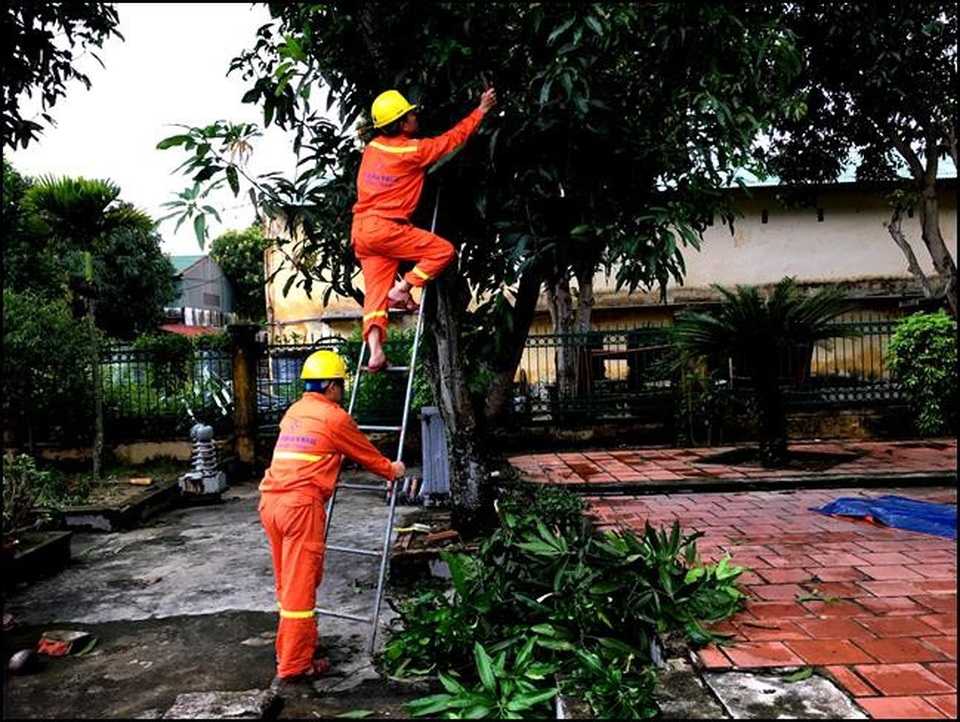 
Chuẩn bị phòng chống cơn bão số 3 tại các đơn vị trực thuộc Chi nhánh Lưới điện cao thế Nghệ An (Công ty Lưới điện cao thế miền Bắc - Tổng công ty Điện lực miền Bắc)
