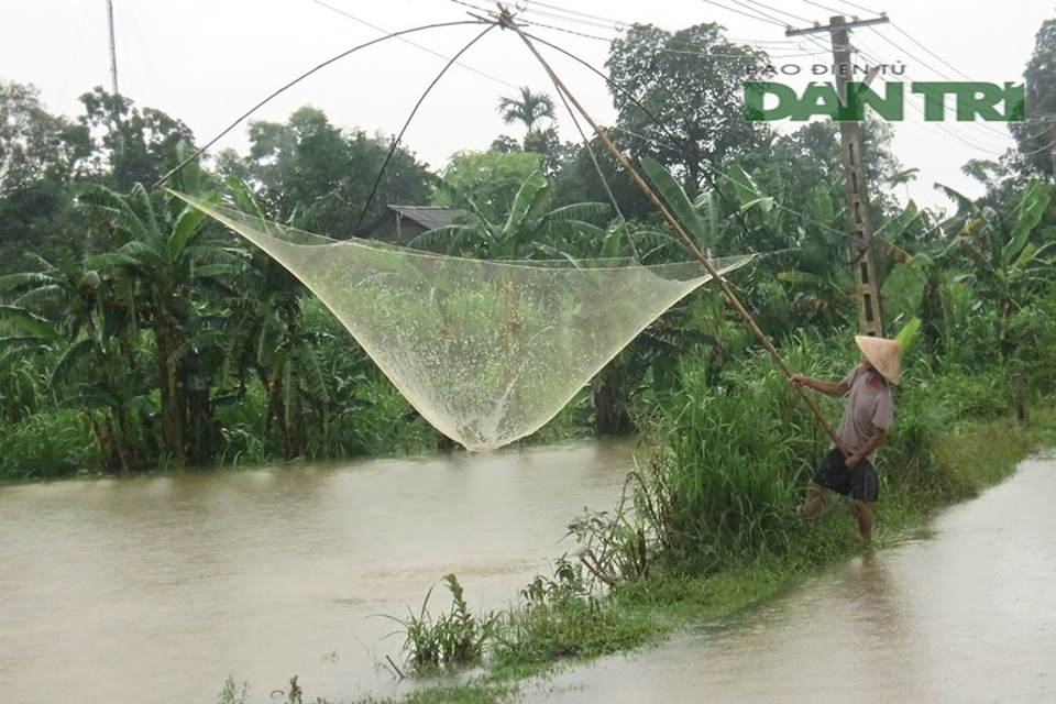 Nước dâng cao chảy xiết, dân bất chấp nguy hiểm ra vớt gỗ, đánh cá - 5 Nước dâng cao chảy xiết, dân bất chấp nguy hiểm ra vớt gỗ, đánh cá - 5