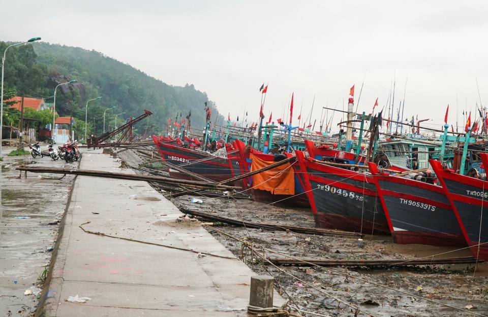 Thanh Hóa: Tàu thuyền cấp tập vào bờ tránh trú bão Sơn Tinh - 1
Dự báo nằm trong vùng ảnh hưởng của cơn bão số 3 (bão Sơn Tinh), ngày 18/7, hàng trăm tàu thuyền ở xã Hoằng Trường (Hoằng Hoá, Thanh Hoá) đã được đưa khẩn cấp vào bờ tránh trú.