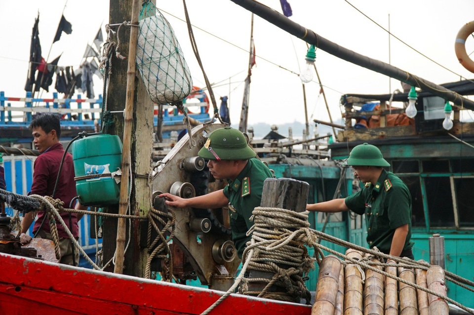 Thanh Hóa: Tàu thuyền cấp tập vào bờ tránh trú bão Sơn Tinh - 2
Công việc neo đậu tàu thuyền được thực hiện rất khẩn trương với sự giúp sức của các chiến sỹ thuộc đồn biên phòng Hoằng Trường.