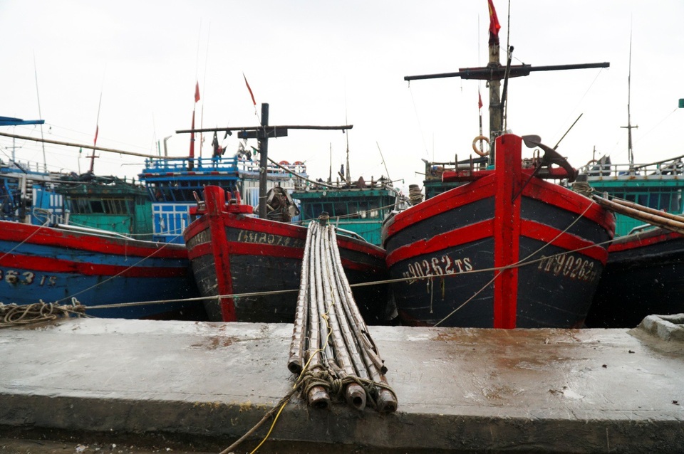 Thanh Hóa: Tàu thuyền cấp tập vào bờ tránh trú bão Sơn Tinh - 4
Tàu thuyền đã được chằng buộc chắc chắn tại biển Hải Tiến thuộc xã Hoằng Trường, chiều 18/7.