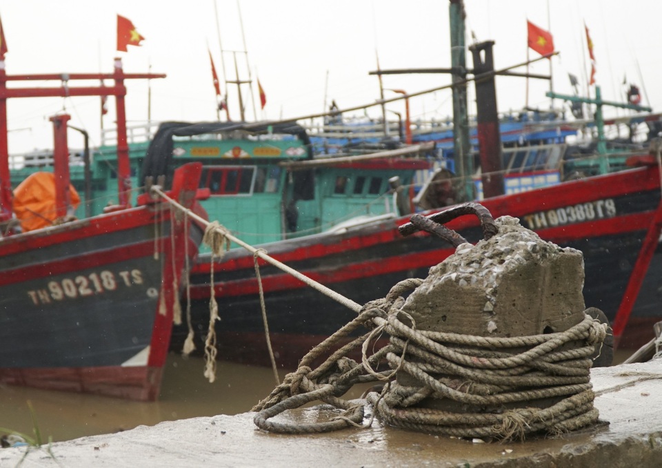 Thanh Hóa: Tàu thuyền cấp tập vào bờ tránh trú bão Sơn Tinh - 6 Thanh Hóa: Tàu thuyền cấp tập vào bờ tránh trú bão Sơn Tinh - 6