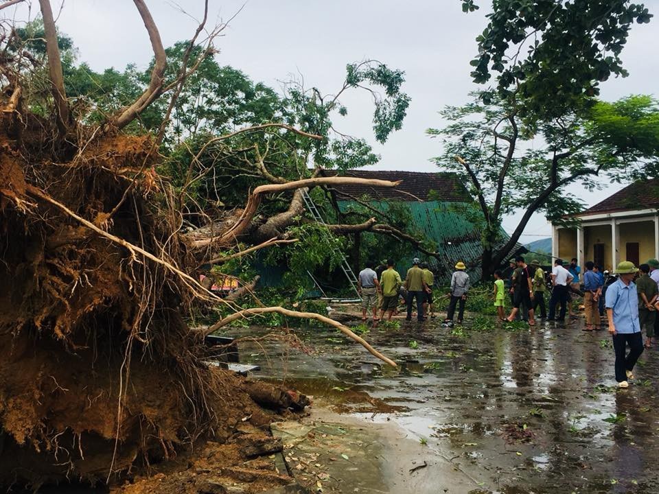 Lũ “chặt đứt” đường, nhiều bản làng bị cô lập - 12
Cây đổ làm hư hỏng nặng mái tôn và 2 phòng học.