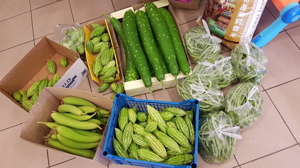 Thèm rau quê, cô gái Việt chuyển 7 tấn đất trồng đặc sản ở Séc - 8 Gia đình chị giờ đã không còn phải bận tâm về vấn đề thực phẩm vì đã có vườn rau ăn không xuể.