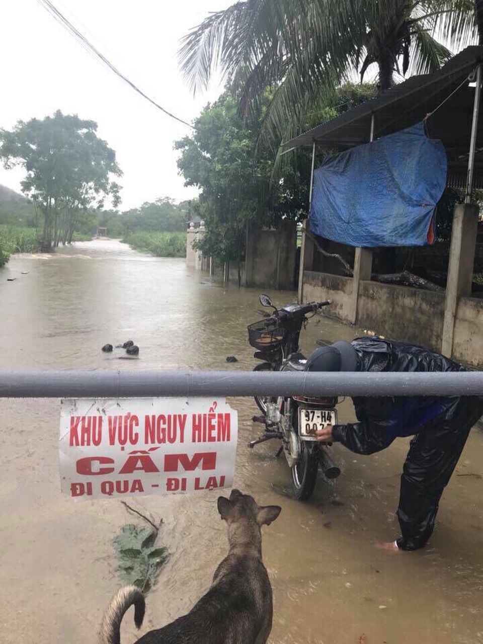 35 người đi hái măng bị nước lũ cô lập trên rừng - 5 Nhiều tuyến đường phải đặt biển cảnh báo nguy hiểm.